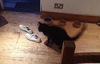 就怕被别人发现脚臭·······去朋友家做客或不得不脱鞋的场合