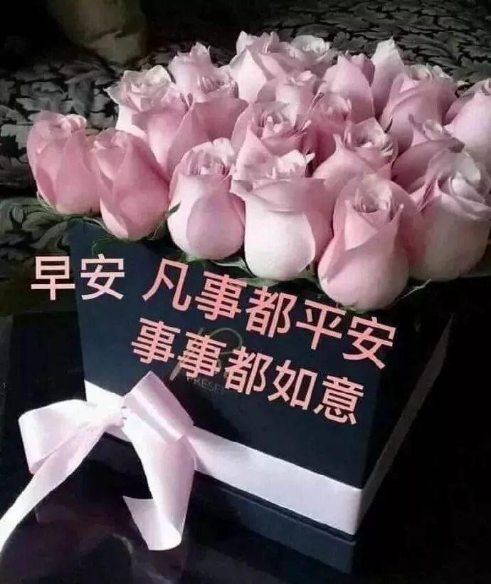 很暖心的早上好問候語祝福短信最美早上好鮮花圖片帶字