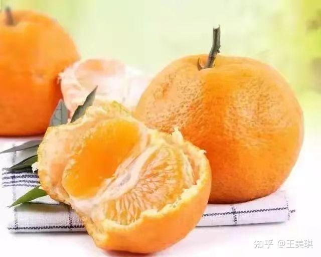 清见与春见的区别(青见与春见柑橘一样吗)
