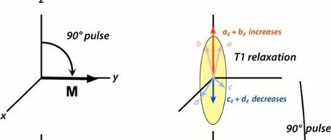 MRI基础知识——射频脉冲1 - 知乎