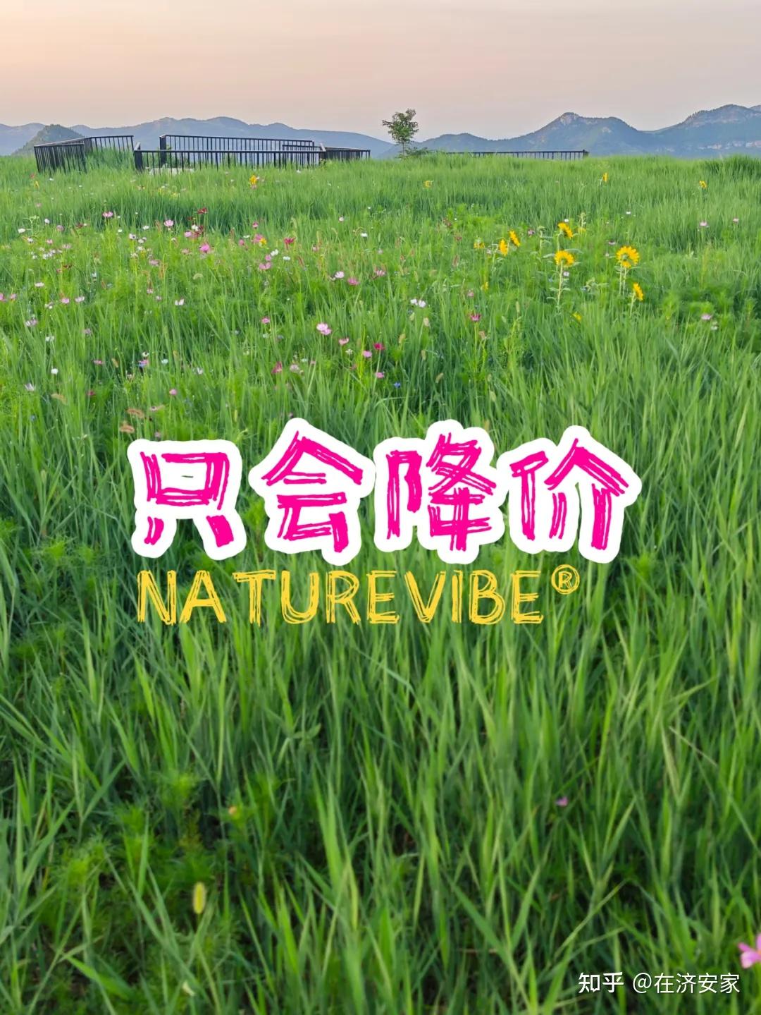 济南楼市“塌”了半边天！说下近期降价楼盘 - 知乎