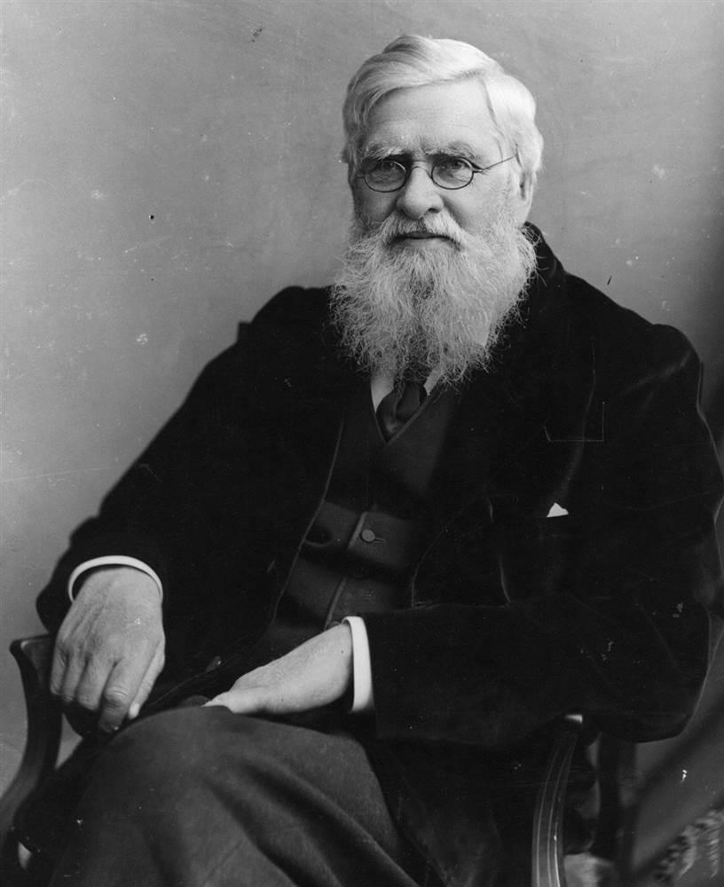 不知道大家有没有看过岩井俊二所著的《华莱士人鱼》?