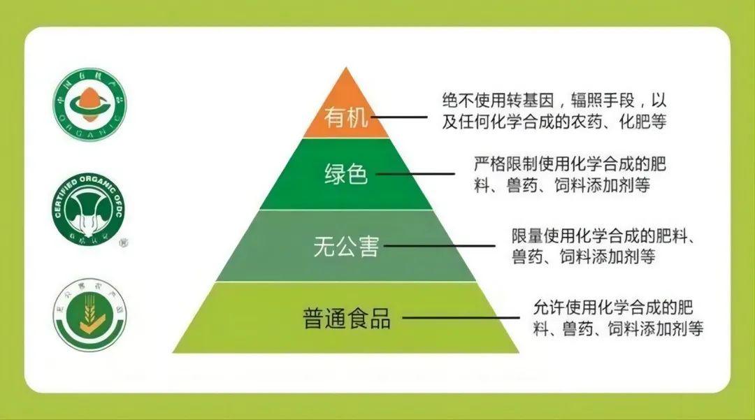 食品加工与安全研究方向_食品加工与安全专业研究方向_食品加工与安全方向