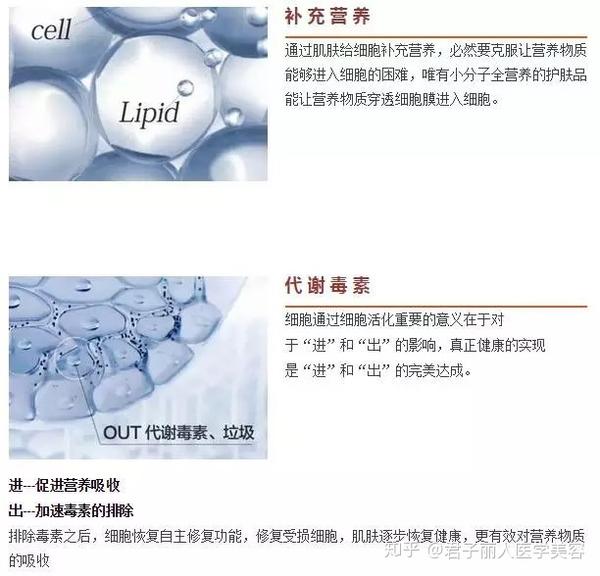 君子丽人慧立康 细胞健康 是肌肤美丽之本 知乎