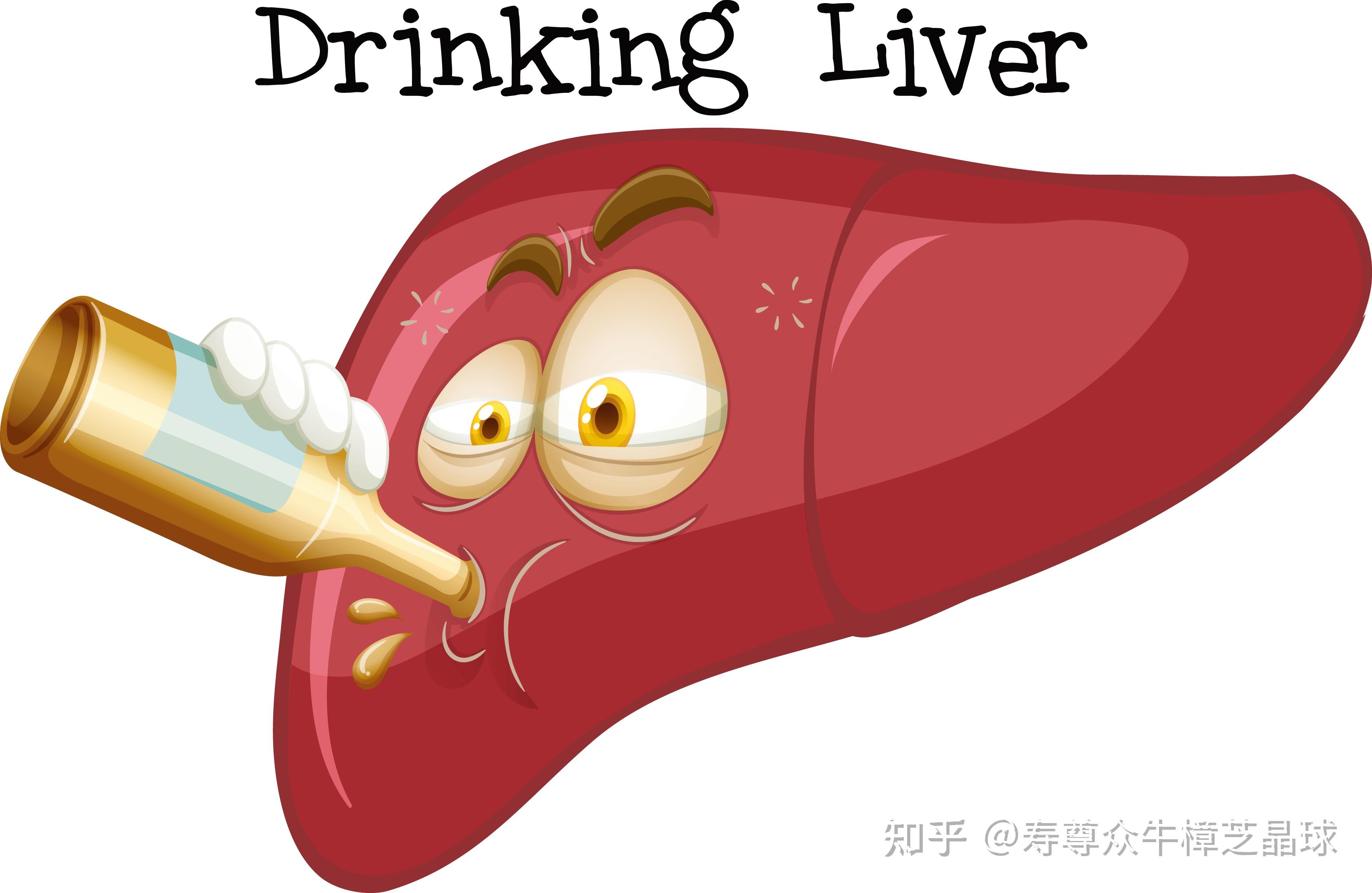 “喝酒伤肝”？LPS亚铅提醒酒精除了会伤肝，对人体还有这些伤害 - 知乎