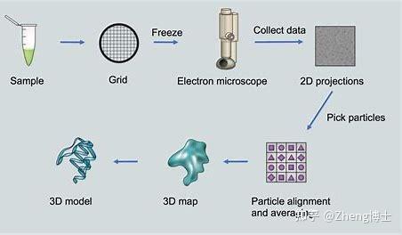 冷冻电镜(Cryo-EM)