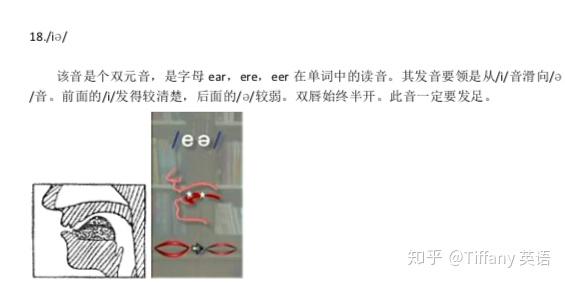 48个国际音标发音舌位图 - 知乎
