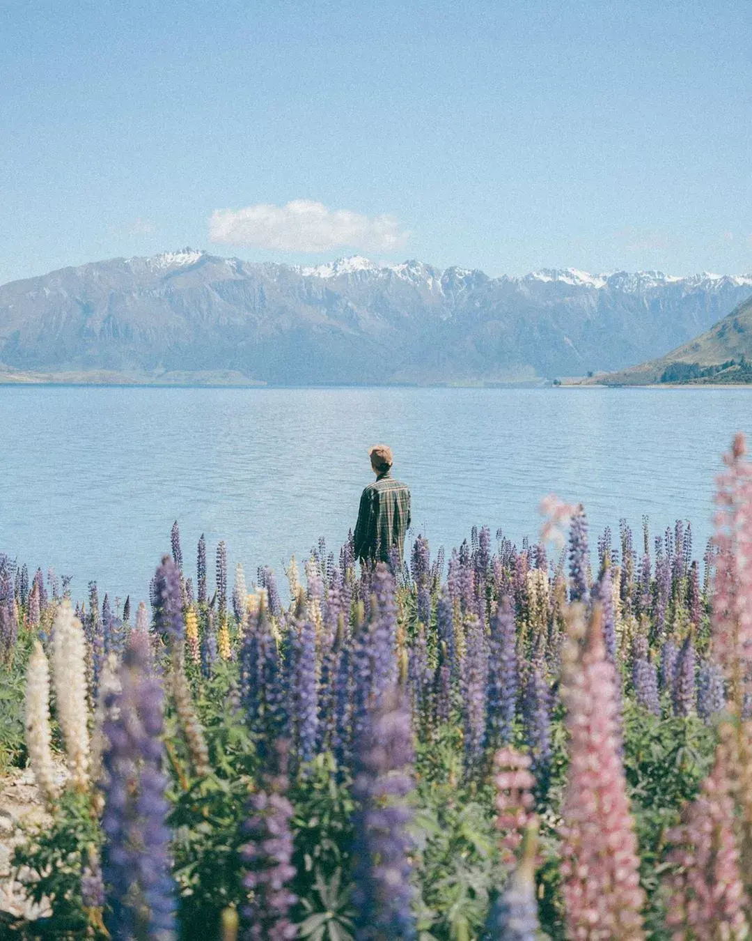 独处的艺术 - 知乎