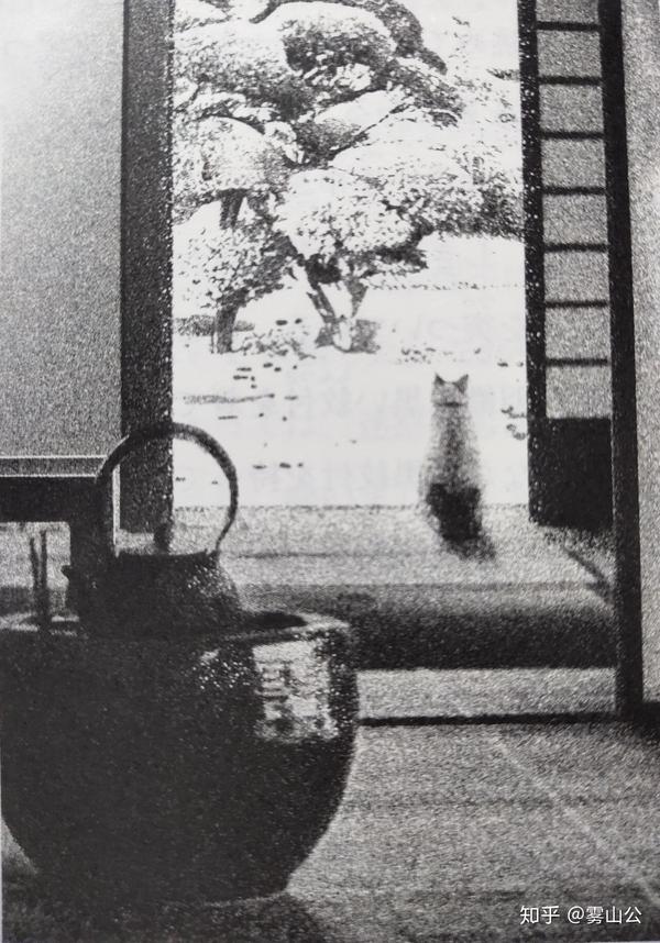 夏目漱石 永日小品 之 猫之墓 个人翻译 知乎