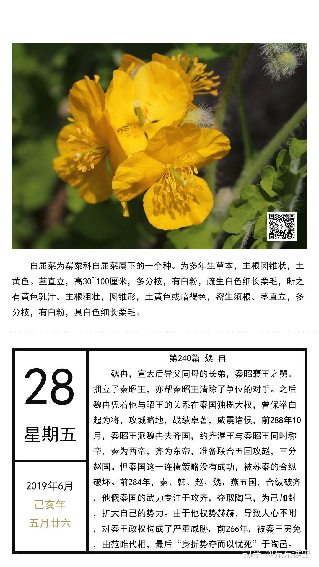 第240篇 魏冉 - 知乎