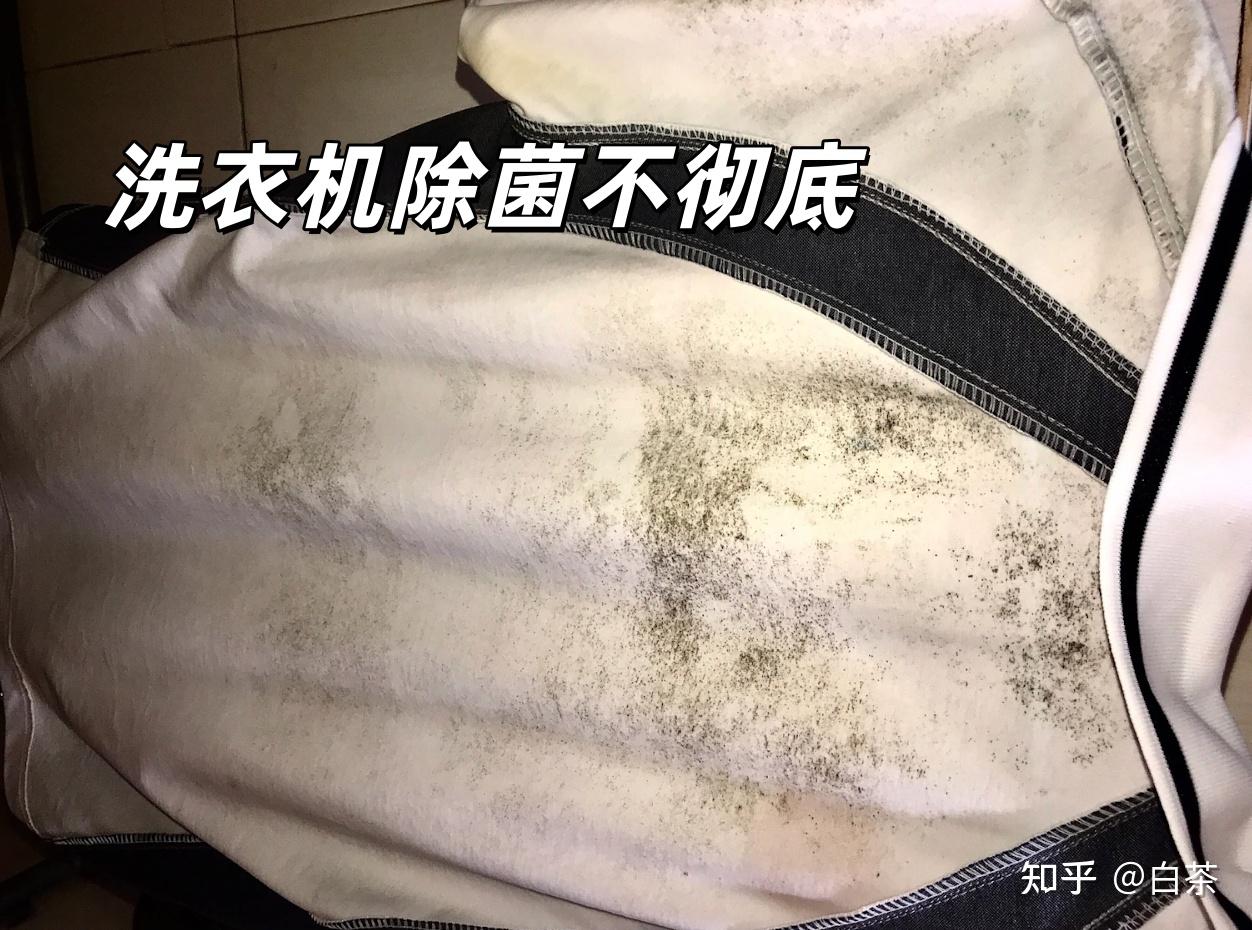 你家衣服真的洗干净了么?用小天鹅本色2026一个月后,我重新定义了“洗干净”这件事