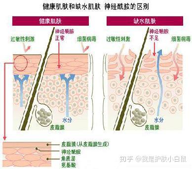 v2-7c43cb42ace81ddb3430f3a7a4cb12e7_b.jpg