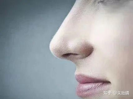 相鼻识人术（下集） - 知乎