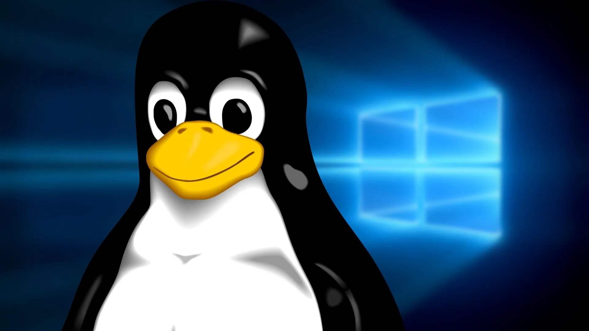 Linux 之父语出惊人！我早就不编程了，工作就是说不 - 知乎