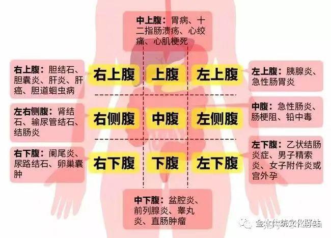 中医腹诊反射图图片