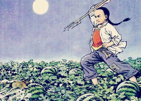 林下狐 知乎 林下狐 知乎