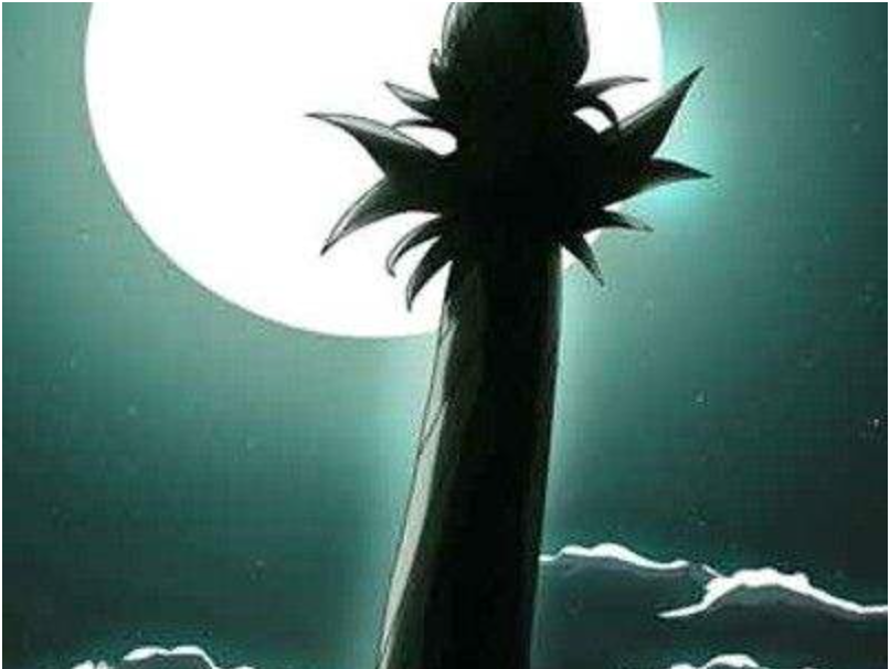 《火影忍者》中的尾兽原型到底是什么?