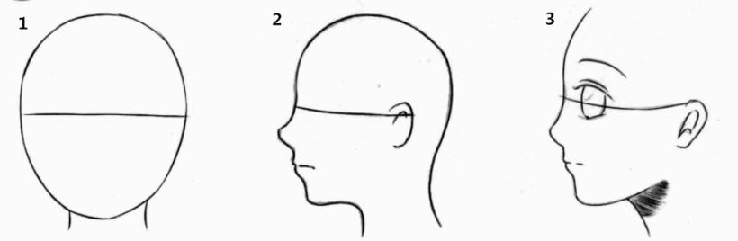 正侧面脸的画法