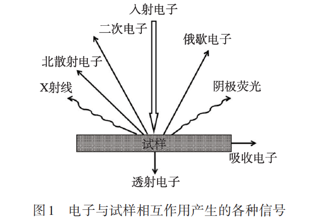 【干货】SEM表征原理及分析方法，更有图片上色教程，还不来看？ - 知乎