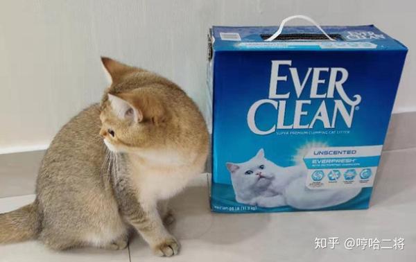 猫砂踩雷篇 Everclean铂钻猫砂实用推荐 知乎