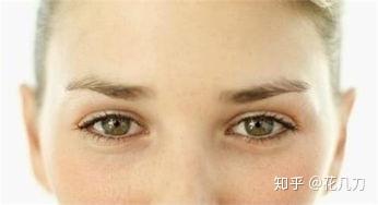 v2-7c8dd557fc52cc74683a725f5471e4df_b.jpg