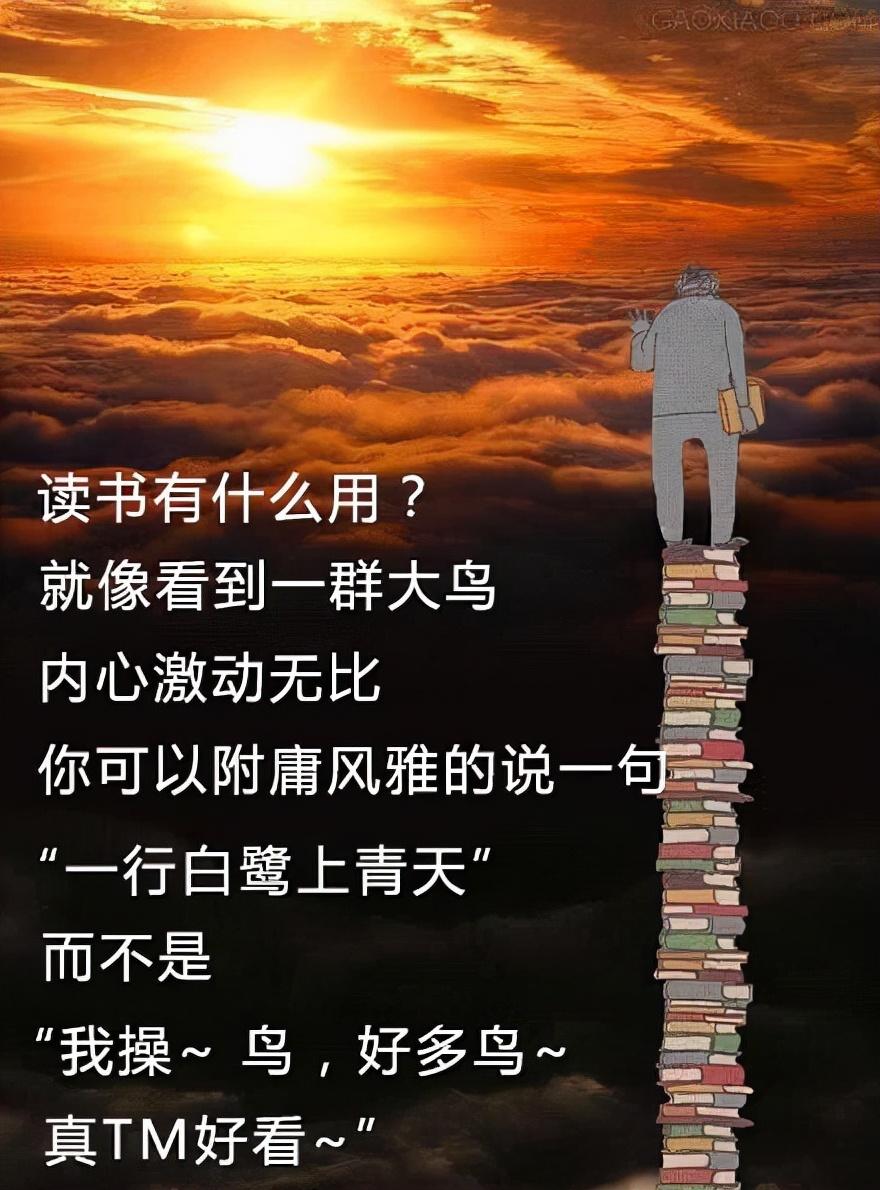 读书的意义图片带字图片