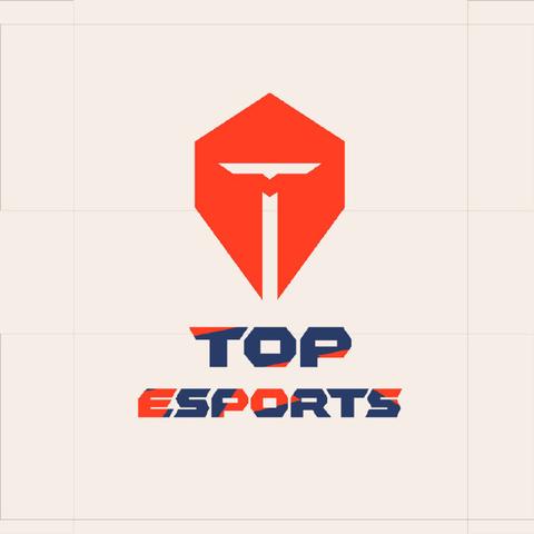 tes英雄联盟战队topesports