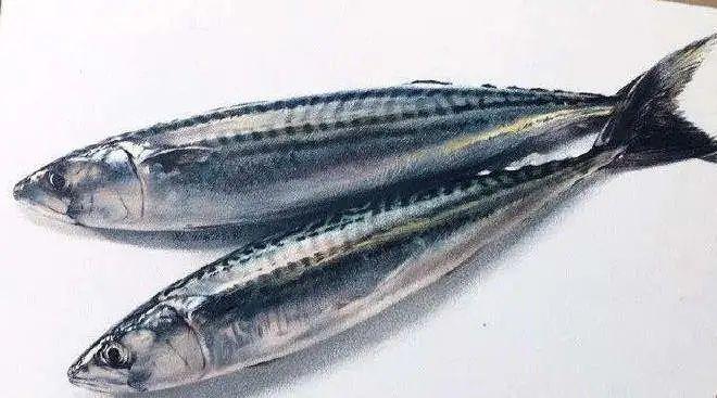 人称"彩铅界冷军"的孟祥雷,画的也太神了吧!