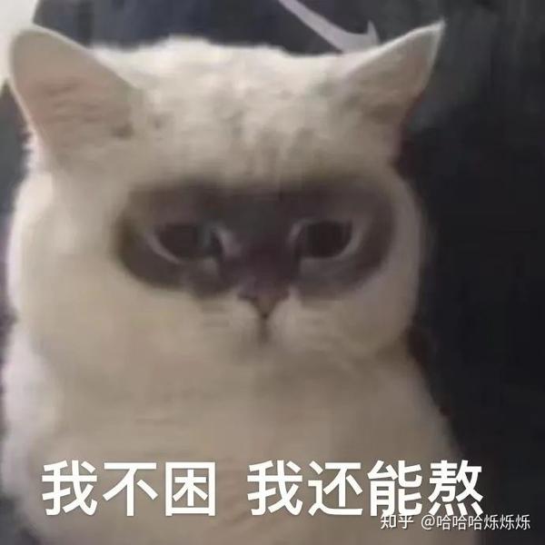 我不困,我还能熬丨表情包 - 知乎