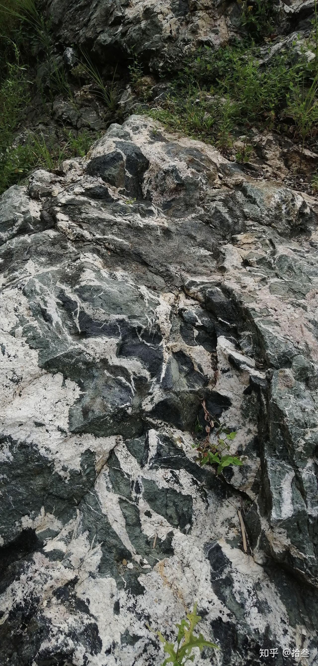 古陆核大别山之根