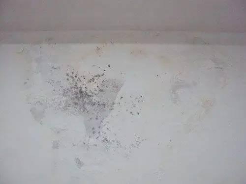 墙面有污渍难清理?教你6招去除污渍,让你家的墙面洁净如新! - 知乎
