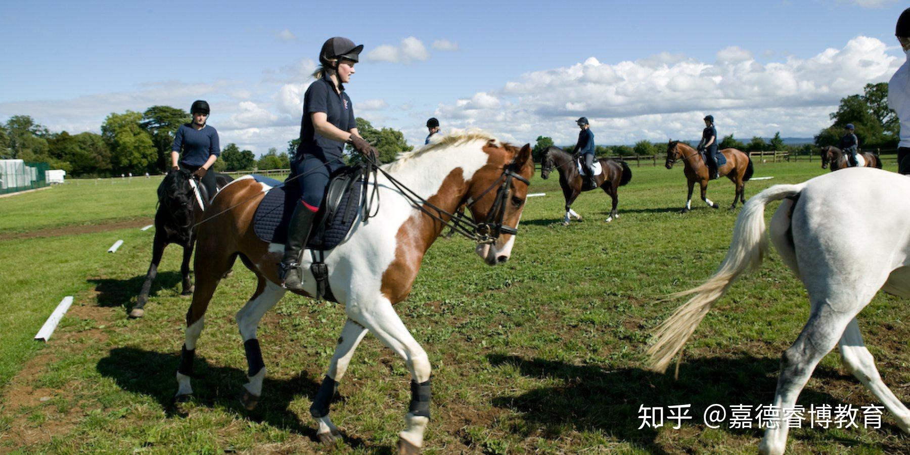 stonar school是英国马术协会官方认证的马术训练中心,几十年来,马术