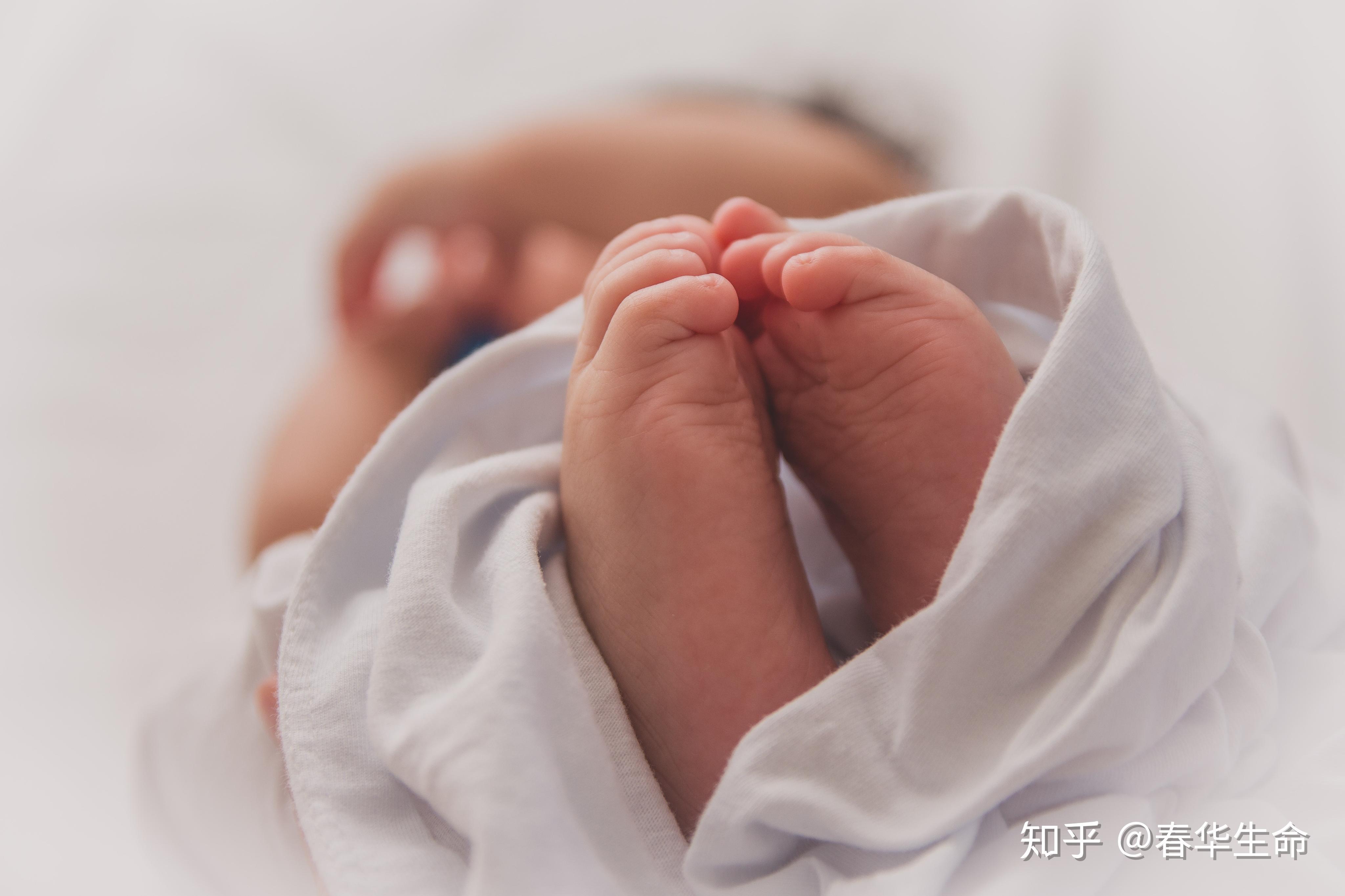 试管婴儿胚胎移植过程图解