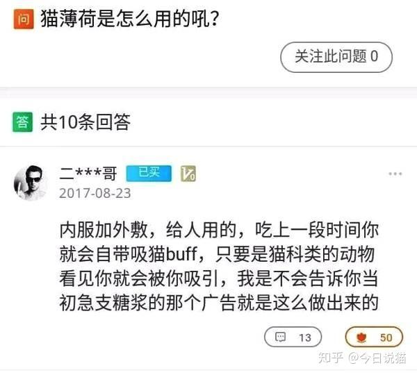 猫界大麻猫薄荷 简直要被活活笑死了 知乎