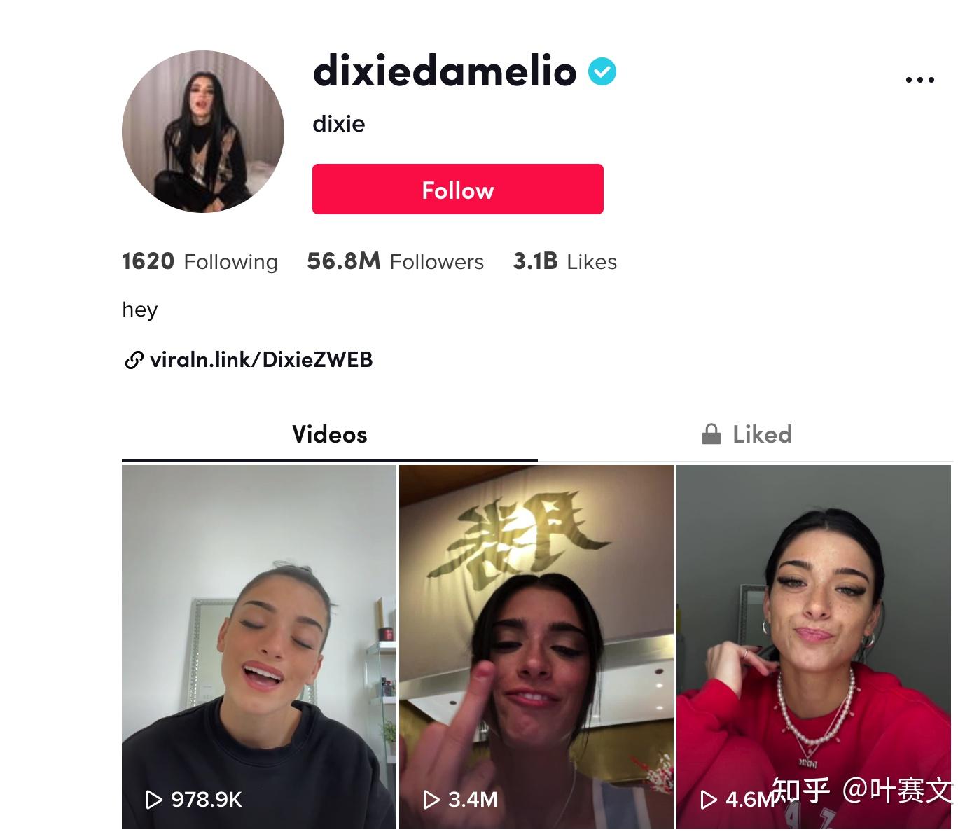 收入第二名:迪克西·达梅利奥(dixie damelio)