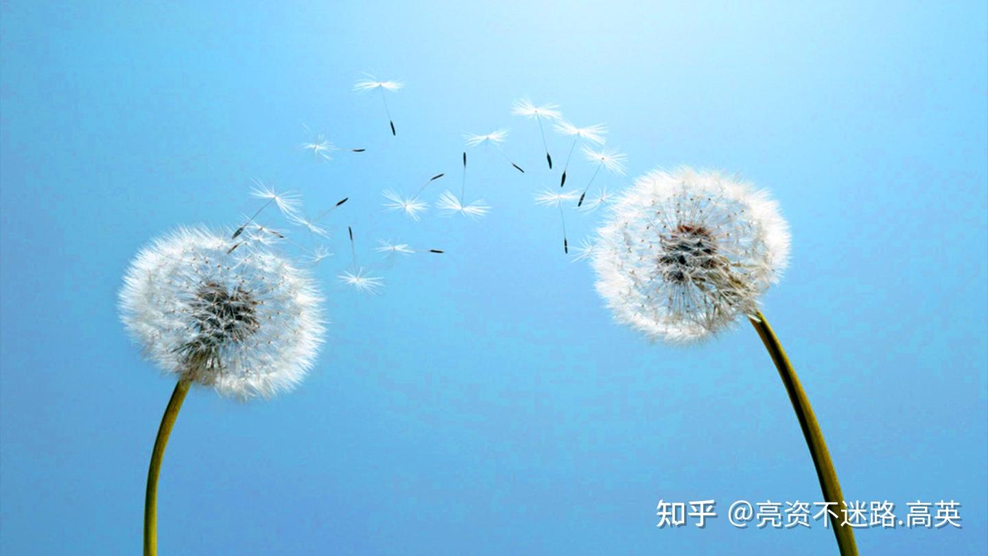 什么是存单质押？存单质押有何风险？ - 知乎