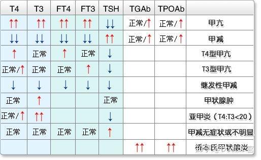 甲亢和甲减都能治好吗医生终于说出了实情有一种怕要伴随一辈子