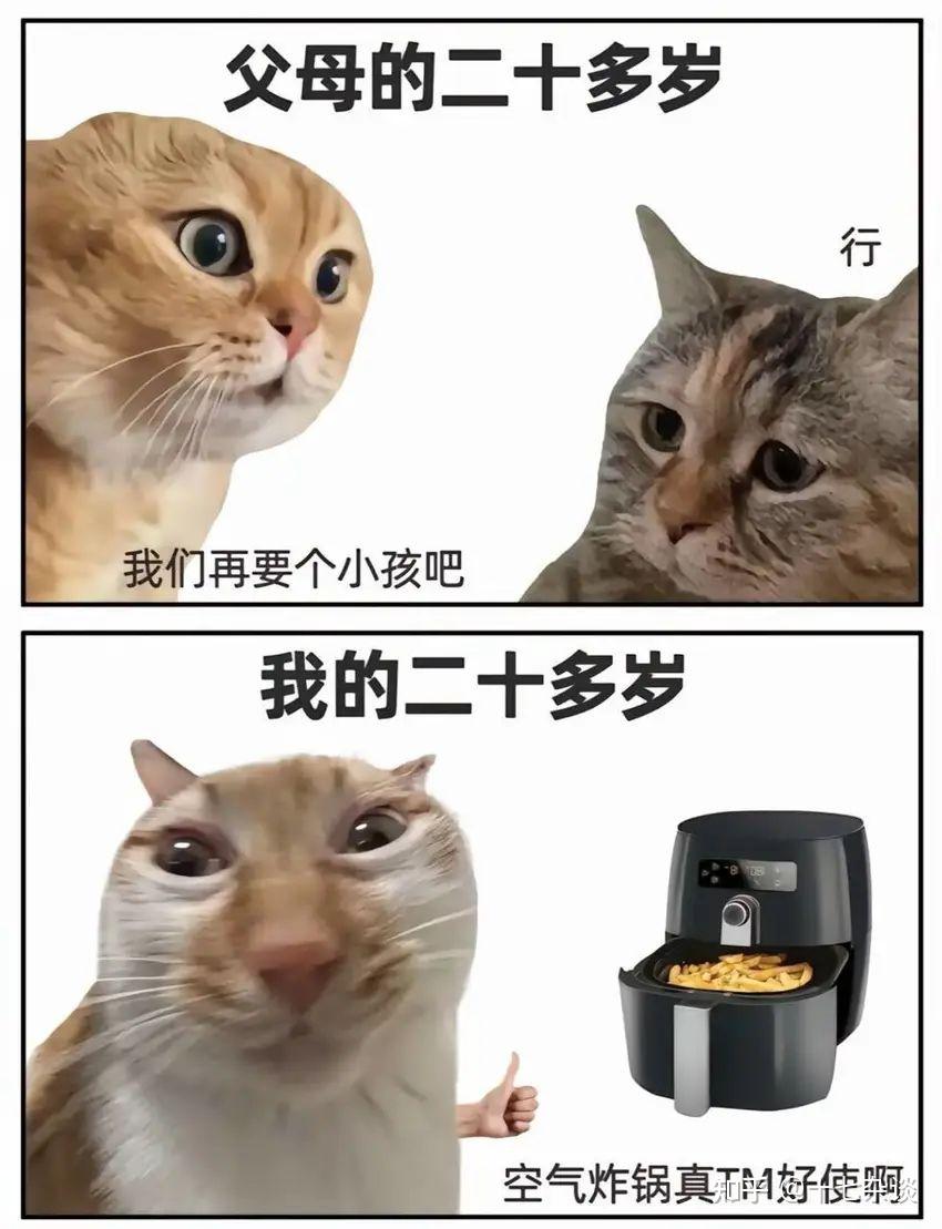 梗图分享 - 知乎