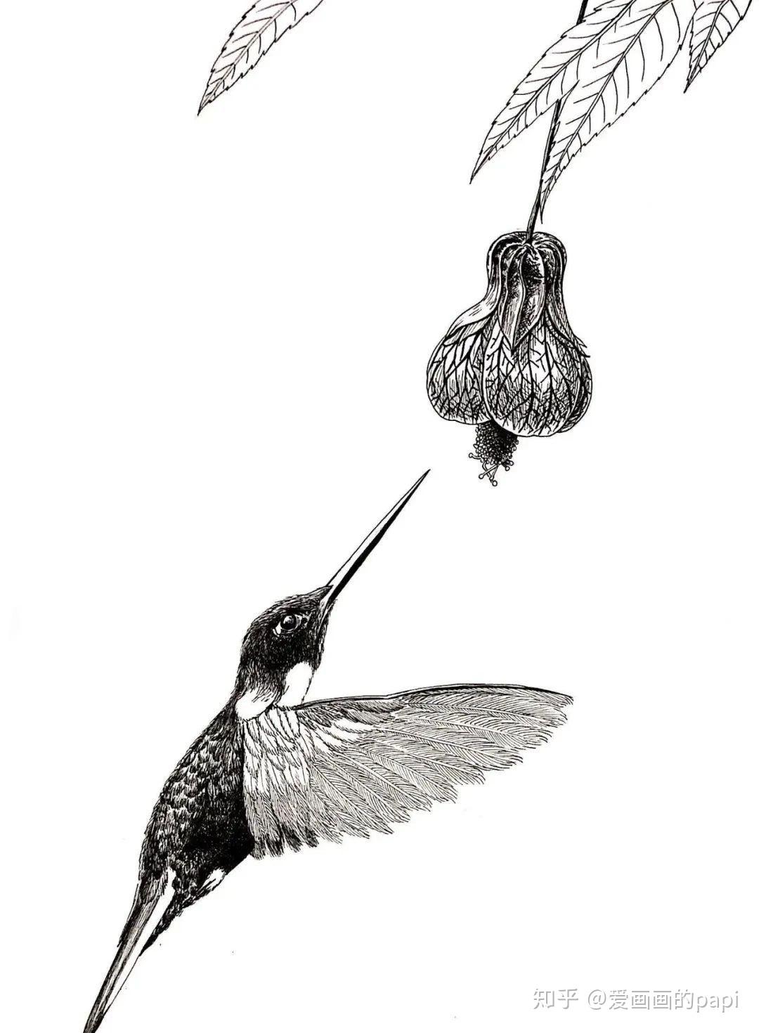 v2-7cee4c7c07e3aa7d072c1fdf8f123473_r.jpg