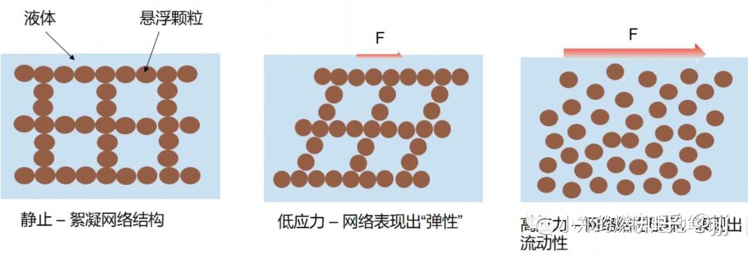 流变学基础 ——“流”与“变” - 知乎