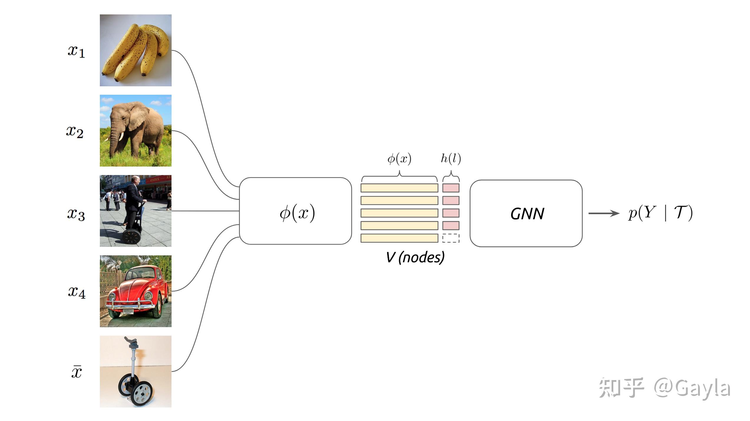 Few shot learning with graph neural networks gnn 