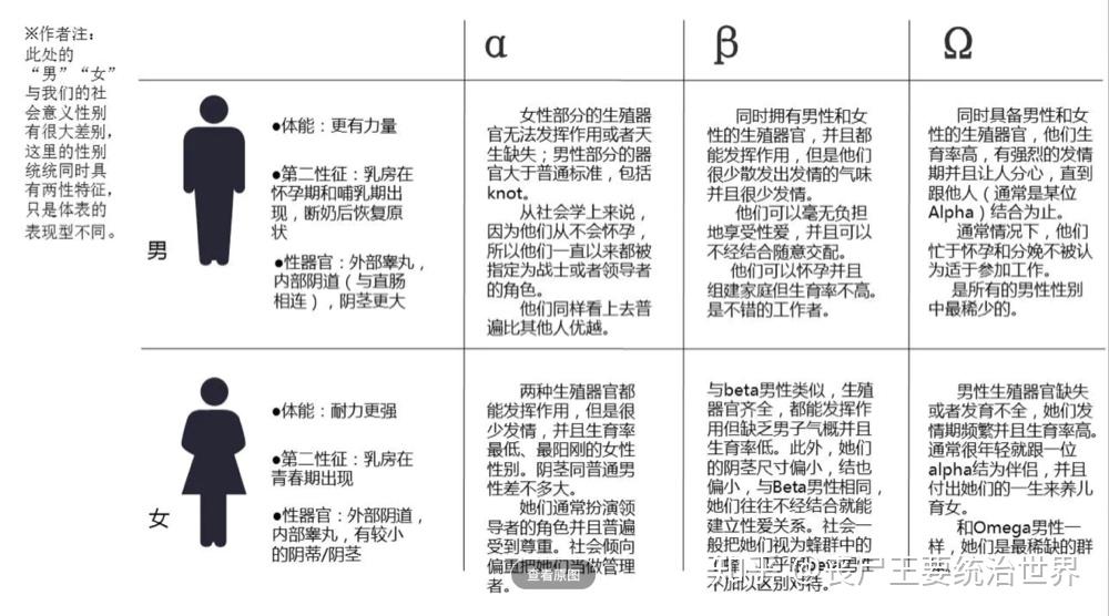 中存在六种性别,即alpha女性,alpha男性,beta女性,beta男性,omega女性