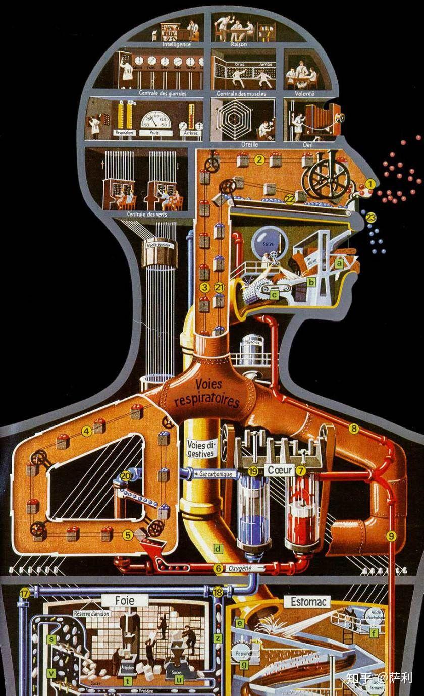 博物馆游记-德国卫生博物馆 - 知乎