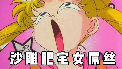 美少女战士表情包合集16