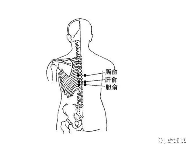 胆囊炎艾灸效果好