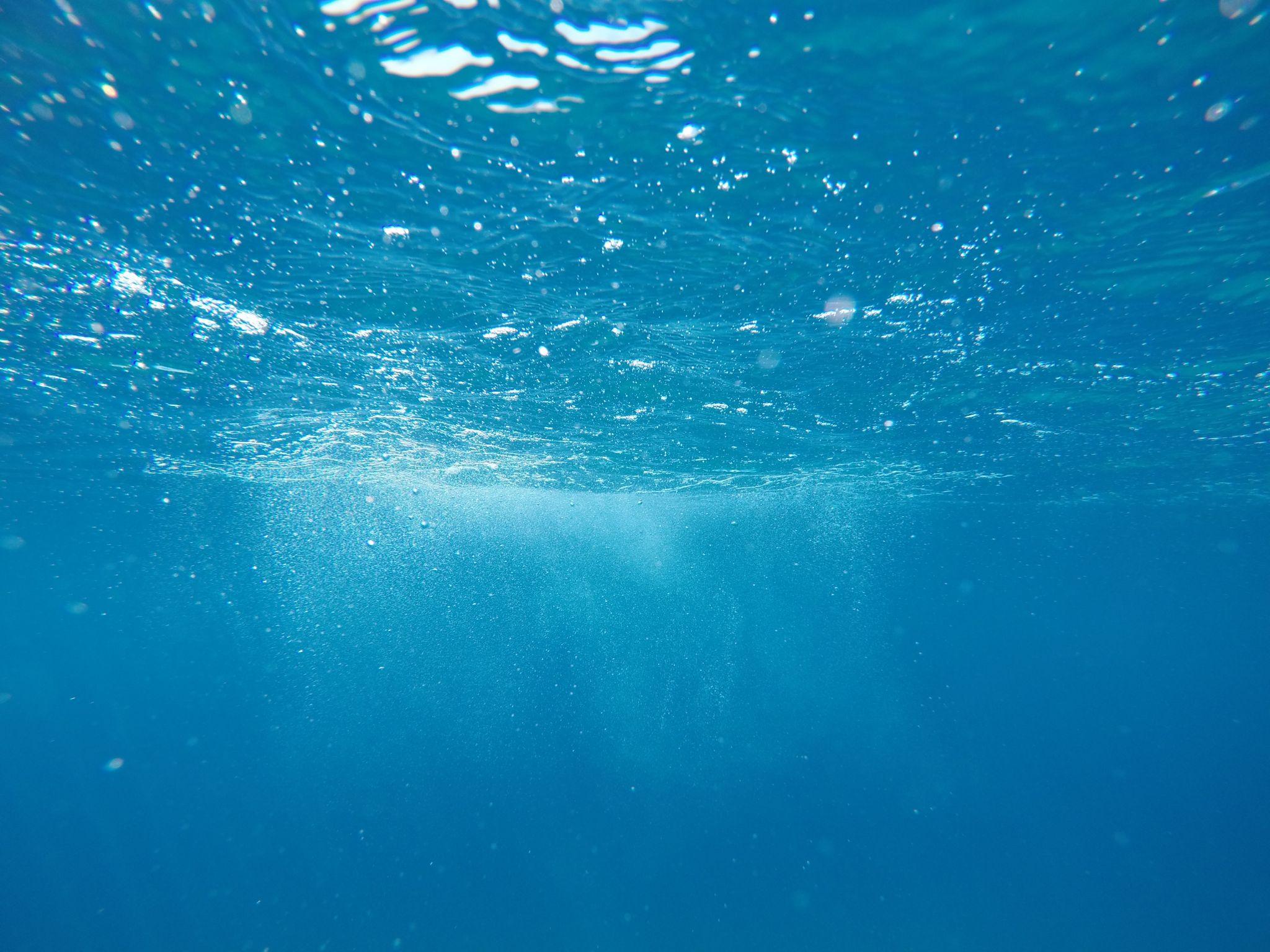 潜水海洋高清图片下载-正版图片500500596-摄图网
