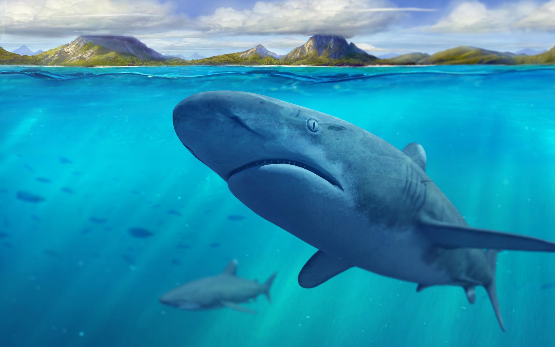 提供的 3d 模型创建这些图像只可用作桌面壁纸 下载《remix 3d ocean