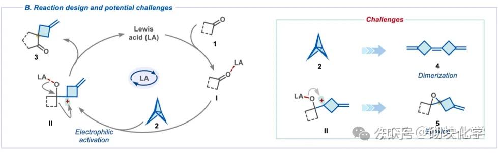 合成新方法| [1.1.1]Propellane实现酮类环扩张新方法，解锁螺环分子砌块的合成新路径 - 知乎