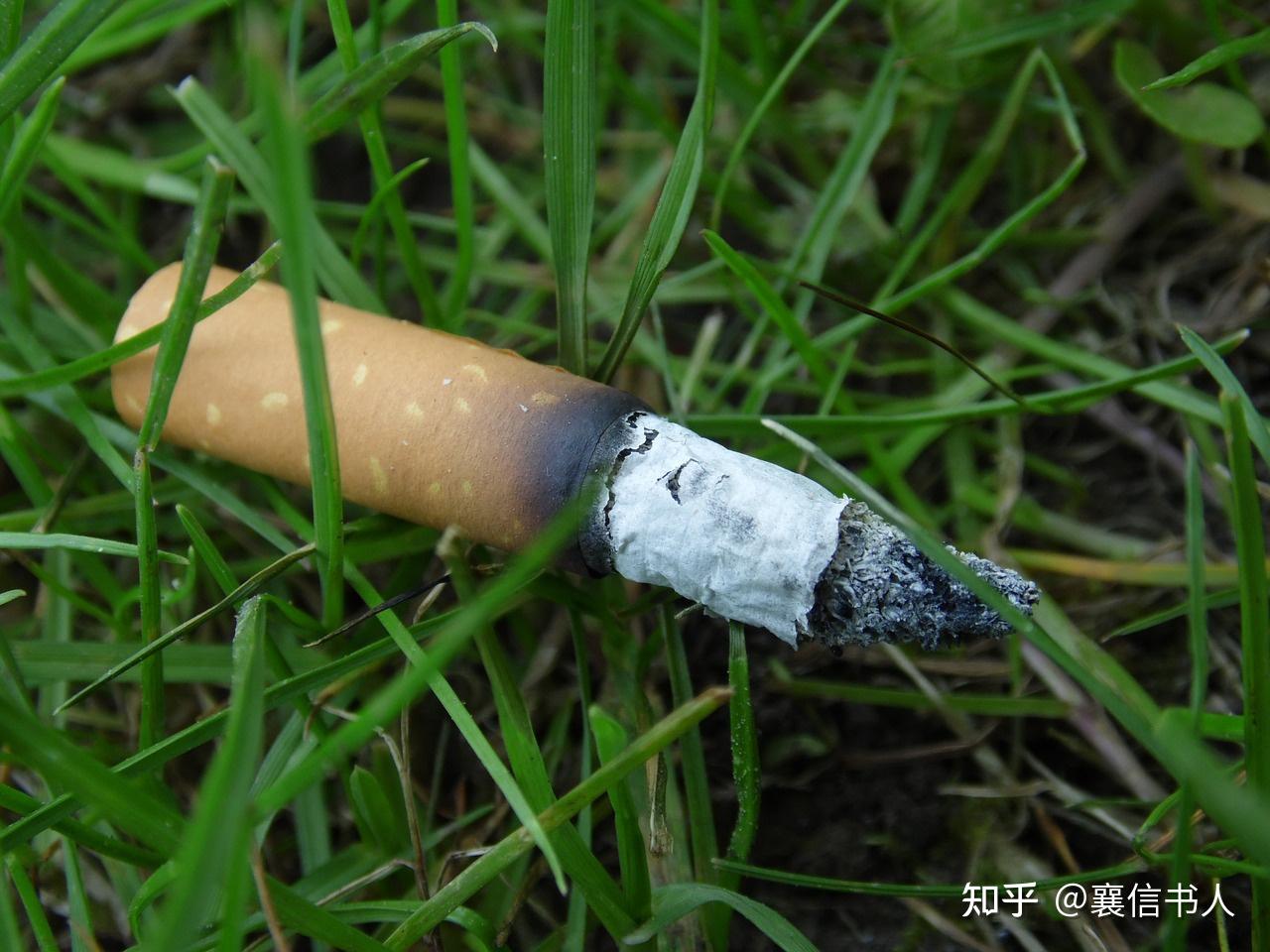 地产已逝金融洗牌降薪浪潮奔涌向前