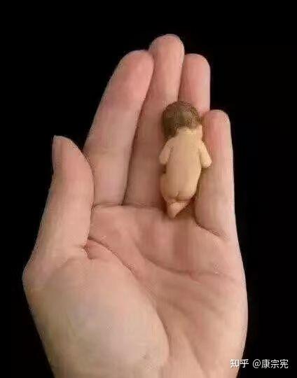 命运三部曲之今世迷情